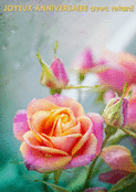 Des fleurs pour un anniversaire en retard